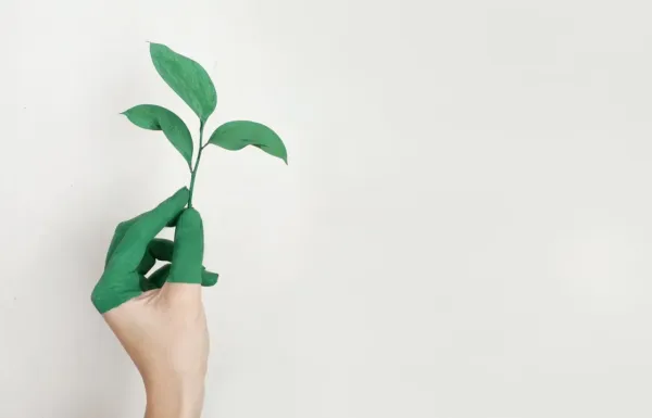 50 Frases Resiliencia 9 que es resiliencia como ser resiliente
