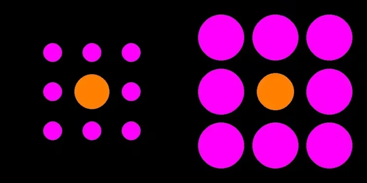 ilusion optica