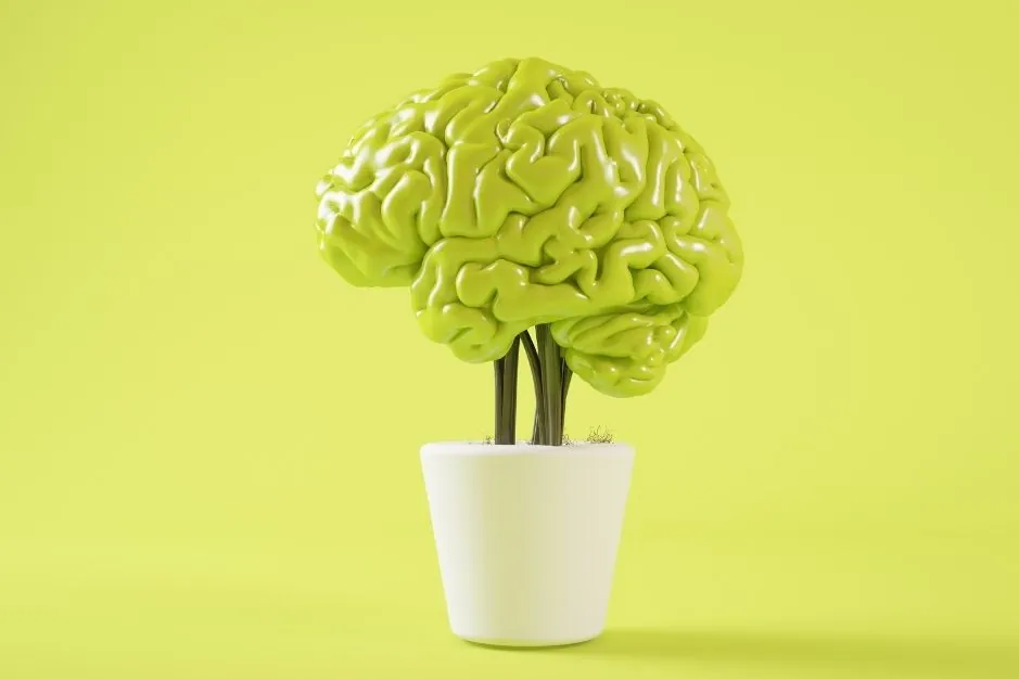 la mente es maravillosa neurita psicologia articulos blog