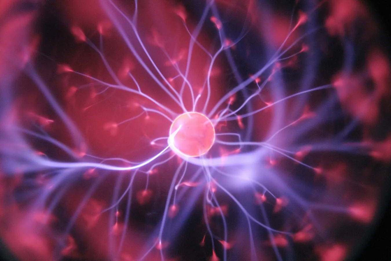 Neurita, psicologia y neuromarketing