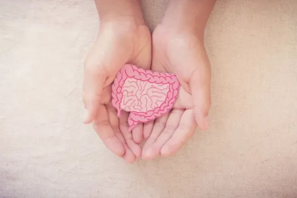 Psicobióticos Los probióticos que cambian tu cerebro Neurita Psicologia inmunologia