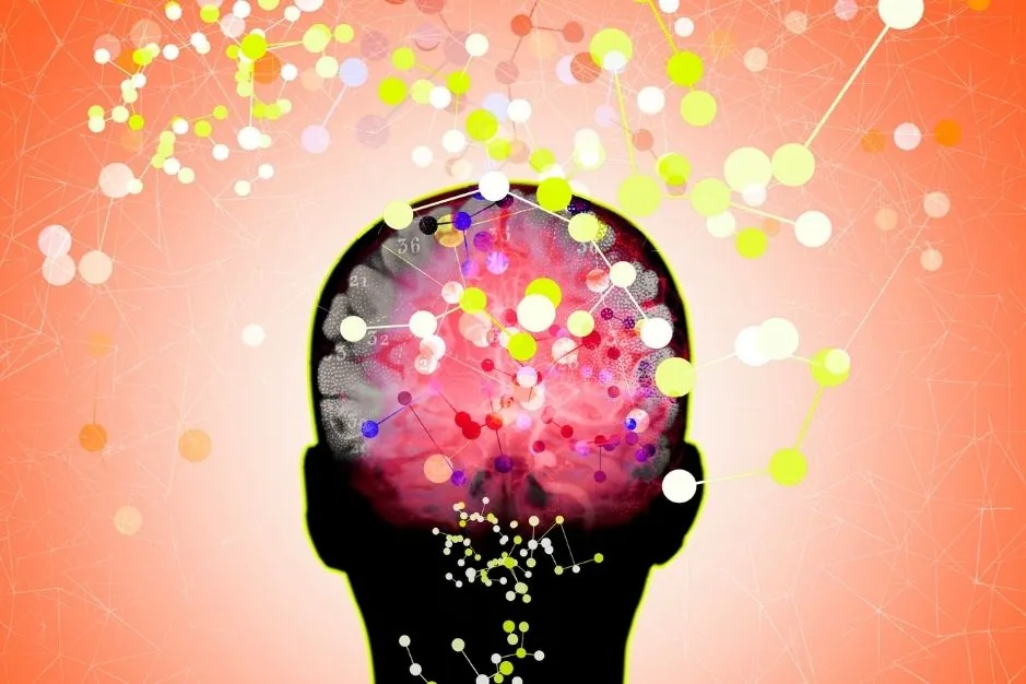 Psiconeuroinmunología Neurita blog de psicología