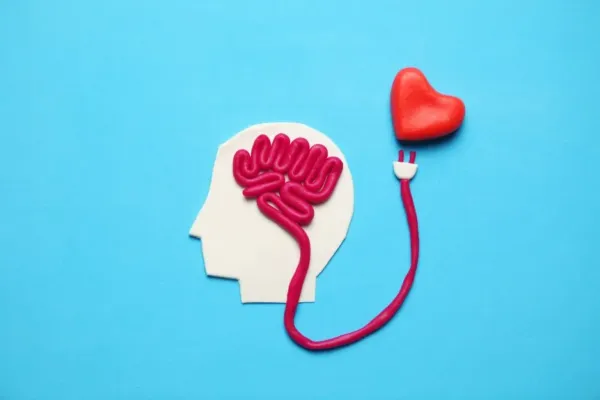 que es el amor psicologia del amor curiosidades neurita blog de psicologia
