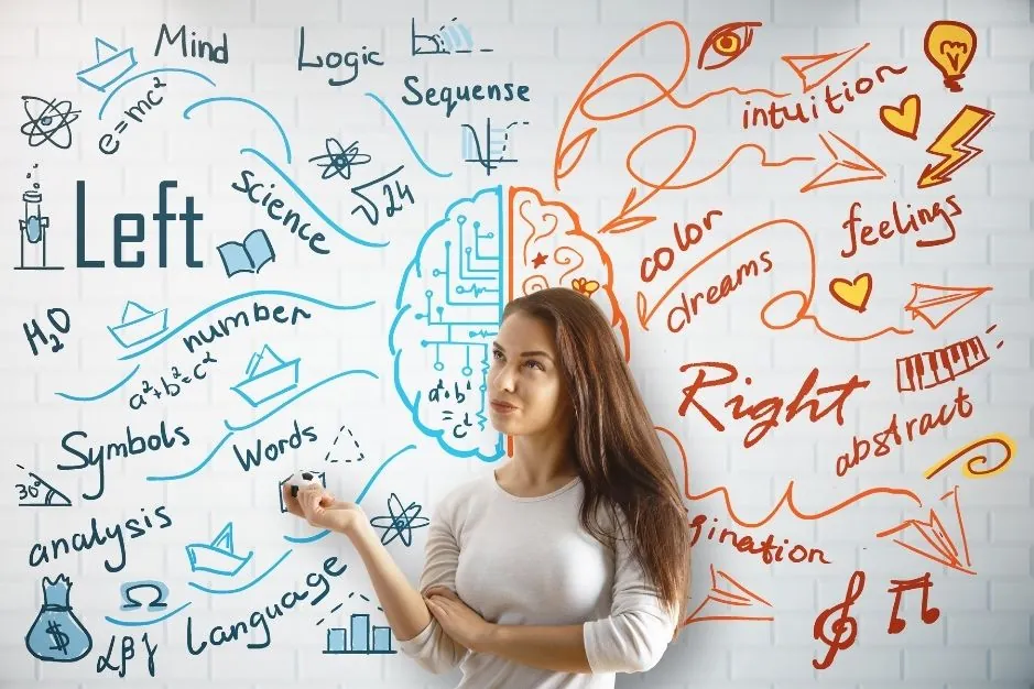 ramas de la psicologia blog neurita neuropsicologia