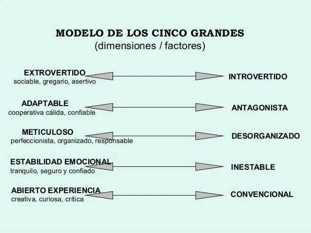 5 Rasgos Básicos de Personalidad 2 rasgos basicos de personalidad los cinco grandes neurita psicologia