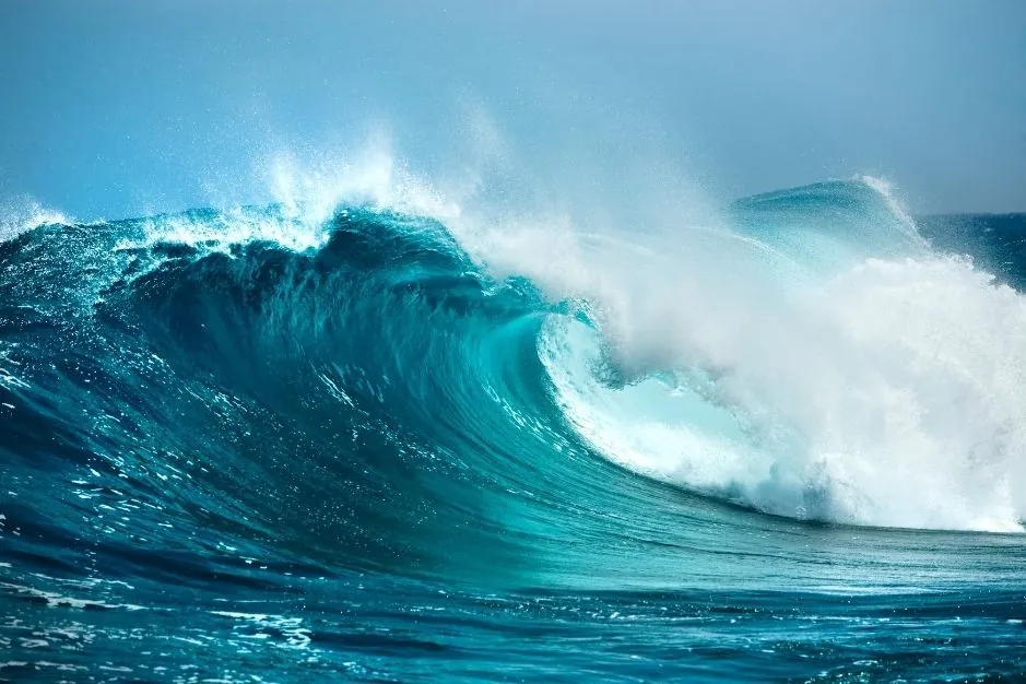 Talasofobia miedo al mar fobia especifica psicologia sintomas tratamiento blog de psicologia neurita