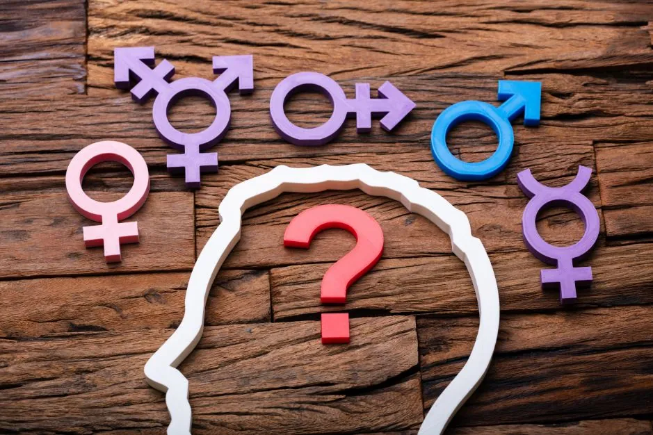 Tipos de identidad de género psicologia neurita blog diccionario
